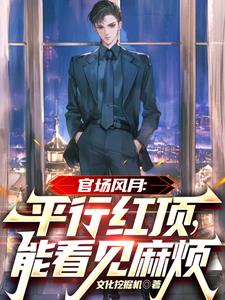 官场风月:平行红顶,能看见麻烦